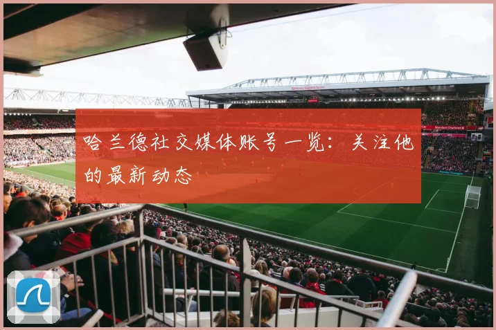 哈兰德社交媒体账号一览：关注他的最新动态